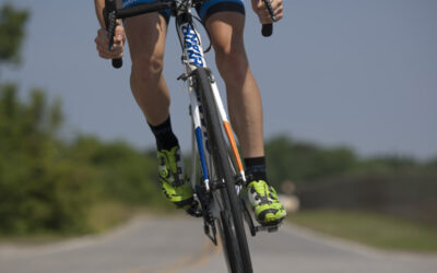 Modern Trends in Sports Administration and Management