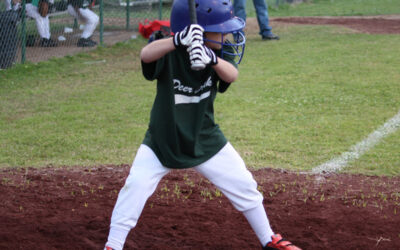 Getting an Edge in Sports Betting: Contrarian Sports Investing